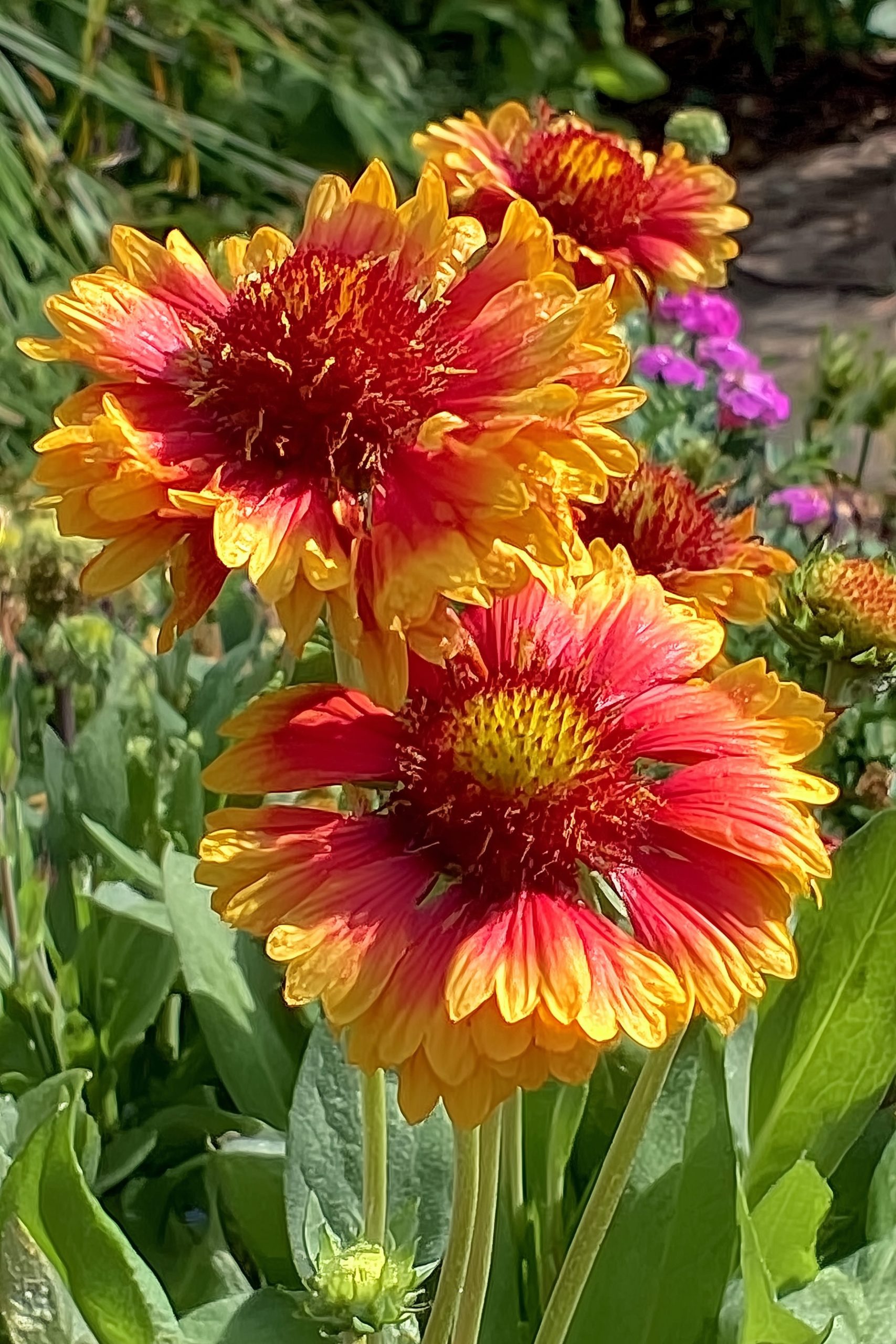 tejal-tarro-blog-wait-and-listen